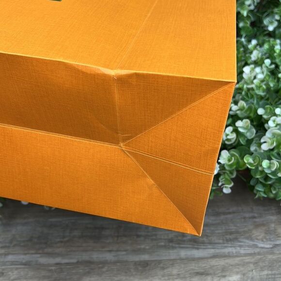 Louis Vuitton Limited Edition Holiday Classic Gift Bag RARE - Picture 13 of 16